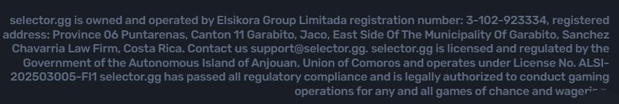 Зеркало Selector для США