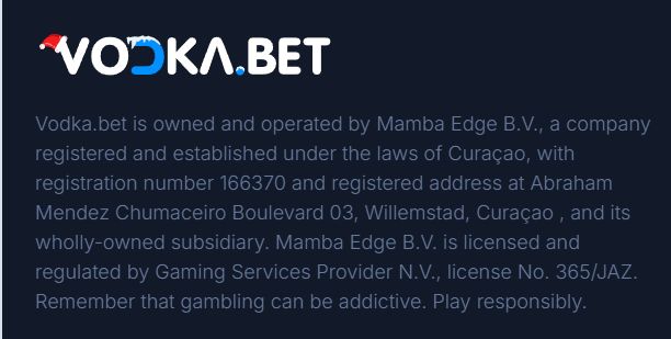 Платежи в Vodka Casino US